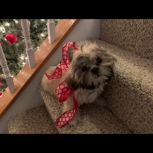 Meet your Posher, Lindsay